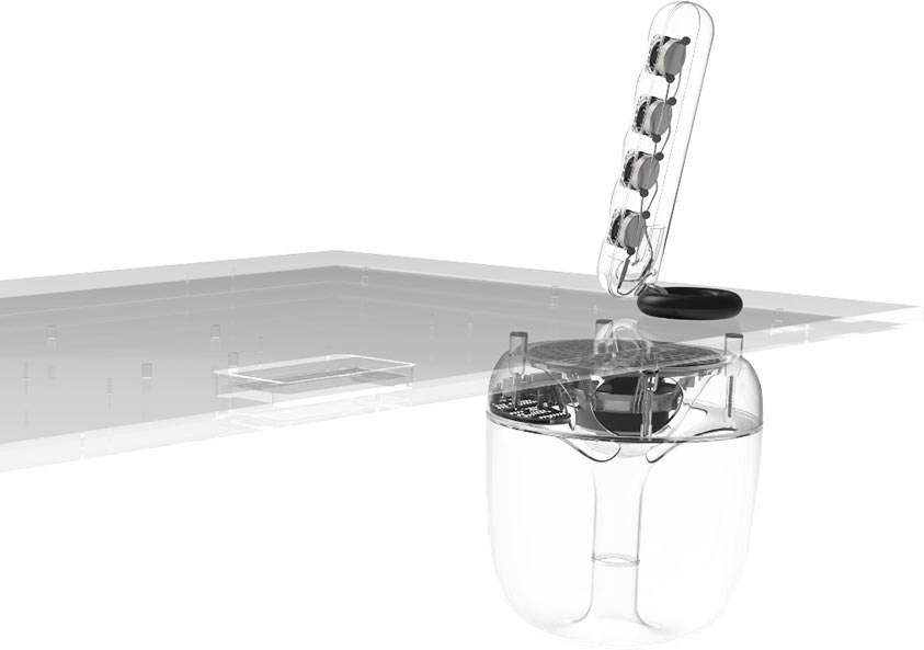 Buy EvoDesk Online Evodesk Store